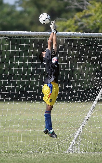 其稳定的发 其稳定的发