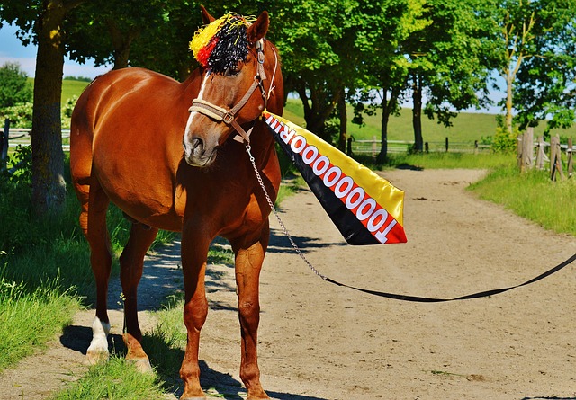 她的成长轨 她的成长轨