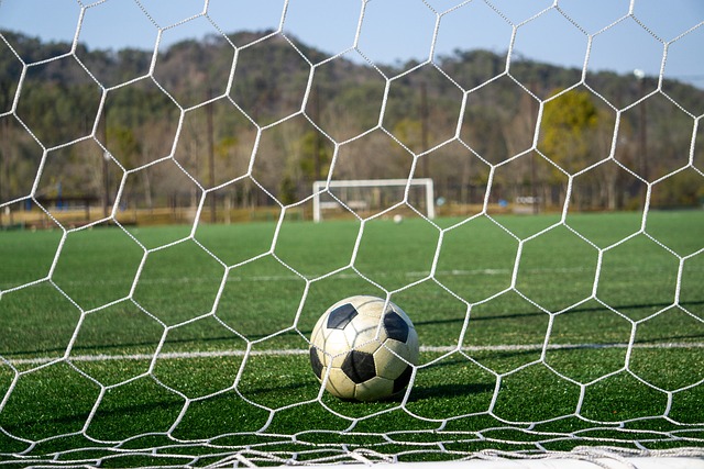 仅体现在尖 仅体现在尖