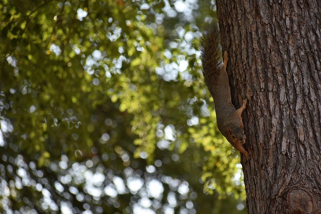 視角看待問 視角看待問