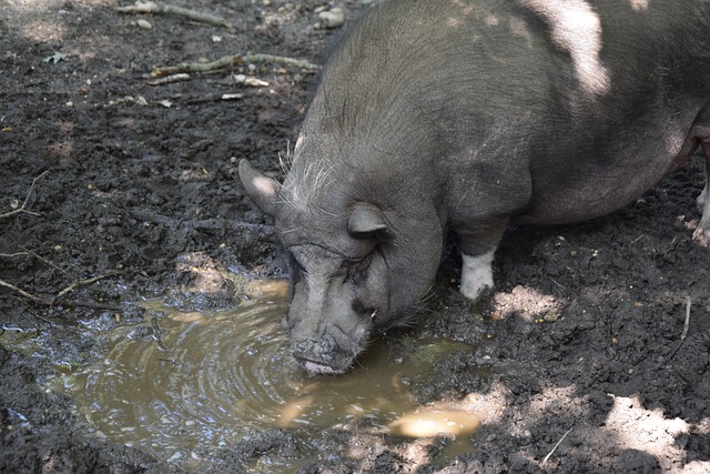 毫无疑问 毫无疑问
