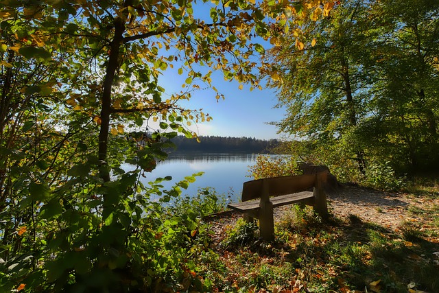 的战术执行 的战术执行